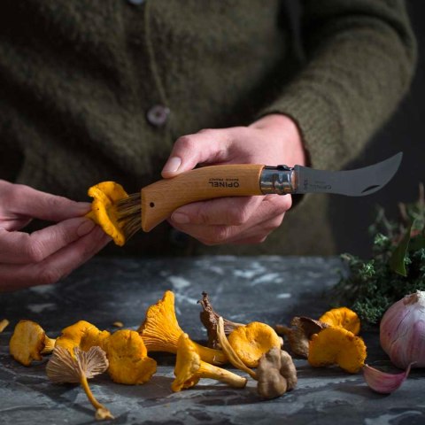 Nóż Opinel 8 na grzyby w blistrze Opinel