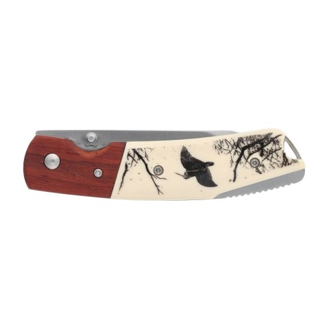 Nóż myśliwski składany Joker JKR367 bekas Joker