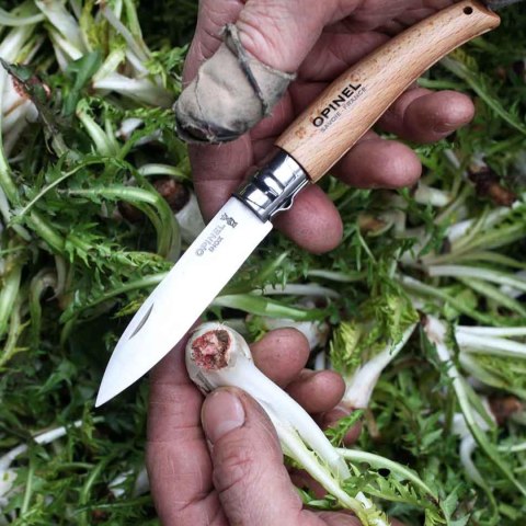 Nóż ogrodniczy składany Opinel 8 blister Opinel