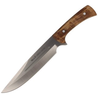 Nóż Muela Full Tang Olive Wood, Satin X50CrMoV15 (JABALI-21OL) Muela