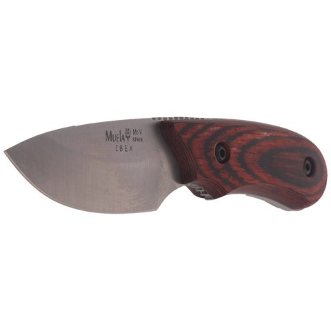 Nóż Muela Full Tang Pakkawood, Satin X50CrMoV15 (IBEX-8R) Muela