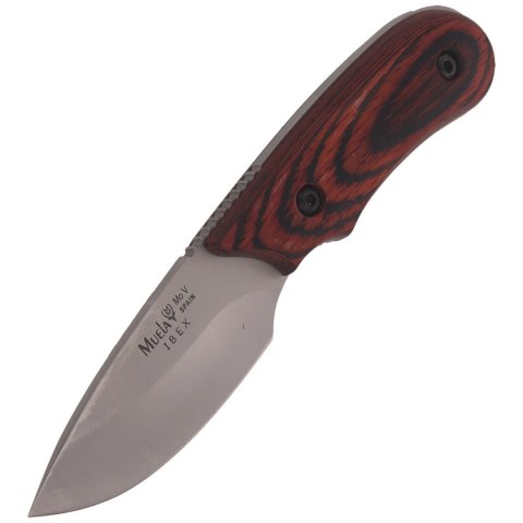 Nóż Muela Full Tang Pakkawood, Satin X50CrMoV15 (IBEX-8R) Muela