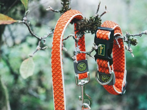 Obroża dla psa Hilo Vario Basic pomarańczowa Hunter