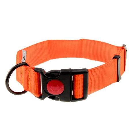 Obroża z taśmy 4wild 40 mm 39-61 cm neonowa pomarańcza 4wild.eu
