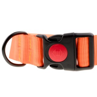 Obroża z taśmy 4wild 40 mm 39-61 cm neonowa pomarańcza 4wild.eu