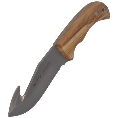 Nóż Muela Bisonte-11.OL Olive Wood, Satin X50CrMoV15 Muela