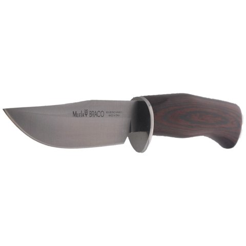 Nóż Muela Braco-11R Pakka Wood, Satin X50CrMoV15 Muela
