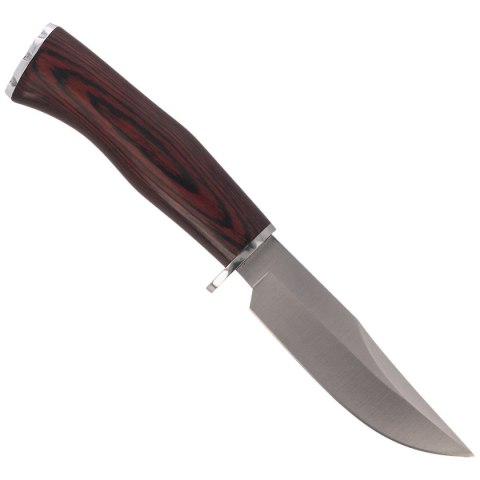 Nóż Muela Braco-11R Pakka Wood, Satin X50CrMoV15 Muela