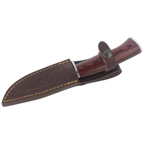 Nóż Muela Braco-11R Pakka Wood, Satin X50CrMoV15 Muela