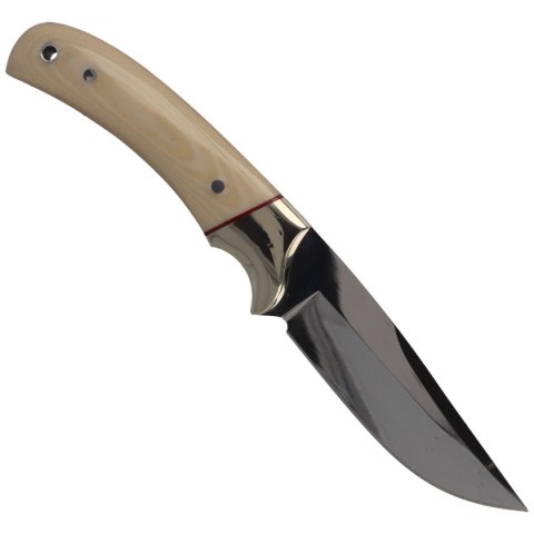 Nóż Muela Setter-11B Ivory Micarta, Mirror X50CrMoV15 Muela