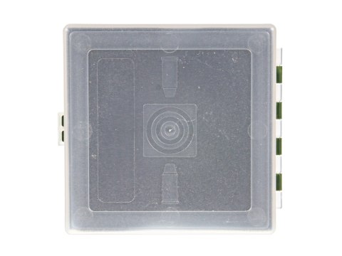 Pudełko Megaline 11x11x3,5 cm zielono-przezroczyste gąbka 1 szczęka rekina Megaline
