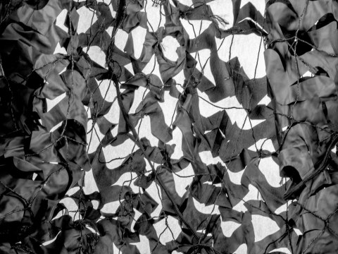 Siatka maskująca MFH (3x2 m) czarna MFH - Max Fuchs